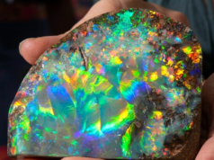 OPAL