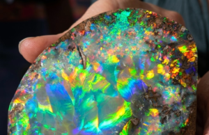 OPAL