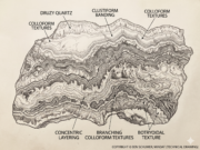 What Textures Tell Us? Part 2: Decoding Hydrothermal & Epithermal Veins Hydrothermal