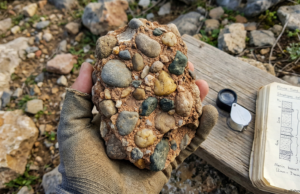Conglomerate Conglomerate