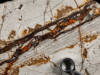 SEDEX Deposits Sedex_iron_zinc_vein