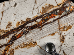 SEDEX Deposits Sedex_iron_zinc_vein