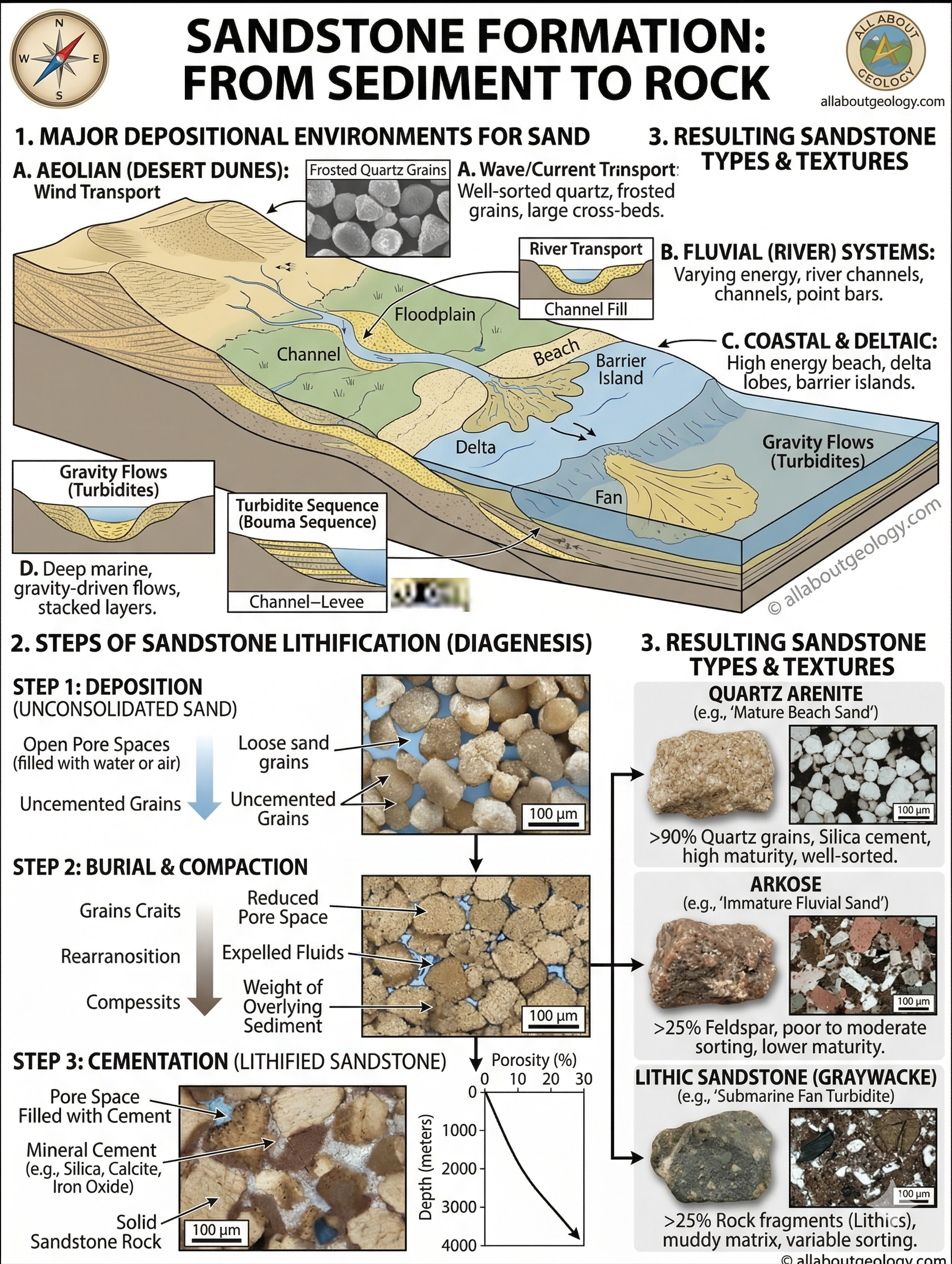 Sandstone Types In Usa Sandstone - ALL ABOUT GEOLOGYSandstone