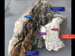 SKARN DEPOSITS SKARN