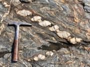 What Textures Tell Us? Part 4: The Fingerprints of Tectonic Stress (Structural Textures) Stractural Texture