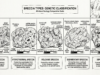 What is Breccia? The Rock of Catastrophes Breccia