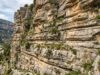 Limestone