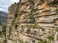 Limestone