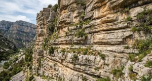 Limestone