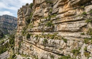 Limestone