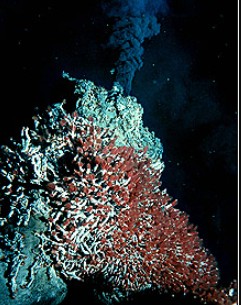 Modern seafloor black smoker chimney discharging 350C hydrothermal fluid - VMS deposit genesis analog